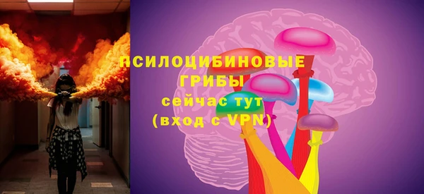 mdpv Богданович