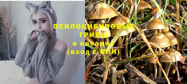 2c-b Богородицк