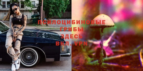 2c-b Богородицк