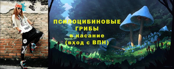 2c-b Богородицк