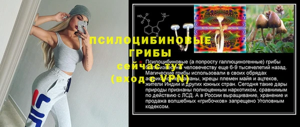 2c-b Богородицк