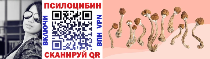 Купить Богородск Галлюциногенные грибы MAGIC MUSHROOMS